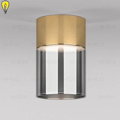 Потолочный светодиодный светильник Elektrostandard Lumen 25047/LED 10W 4000К латунь/дымчатый a064708