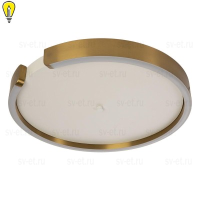 Потолочный светодиодный светильник Loft IT Ring 10026
