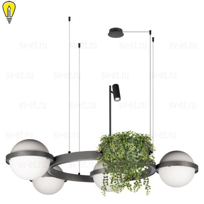 Подвесной светодиодный светильник Loft IT Jardin 10121/4 Dark grey