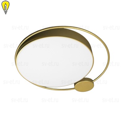 Потолочный светодиодный светильник Loft IT Mike 10063