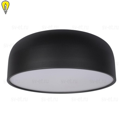 Потолочный светодиодный светильник Loft IT Axel 10201/480 Black