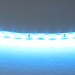 Светодиодная лента Lightstar 12W/m 120LED/m голубой 5M 420516
