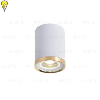 Потолочный светильник Favourite Prakash 3085-1C