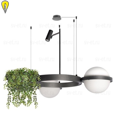 Подвесной светодиодный светильник Loft IT Jardin 10121/2 Dark grey