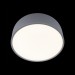 Потолочный светодиодный светильник Loft IT Axel 10201/350 Grey