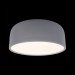 Потолочный светодиодный светильник Loft IT Axel 10201/350 Grey