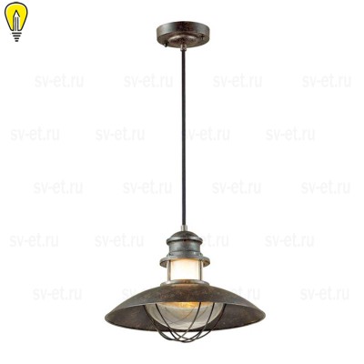 Уличный подвесной светильник Odeon Light Nature Dante 4164/1