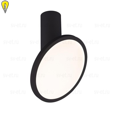 Светодиодный спот Elektrostandard Brain DLS029 12W 4200K черный матовый a047772