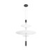 Подвесной светильник Loft IT Skylar 10244/C Black