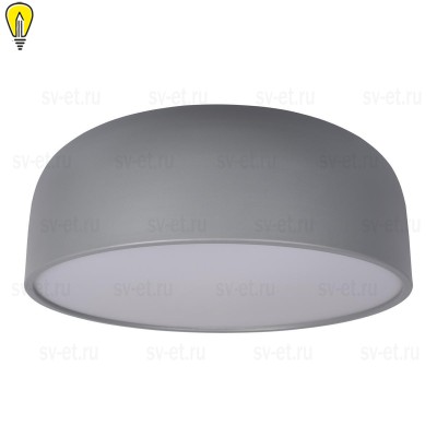 Потолочный светодиодный светильник Loft IT Axel 10201/480 Grey