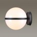 Уличный настенный светильник Odeon Light Nature Lomeo 4832/1W