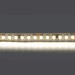 Светодиодная лента Lightstar 16W/m 168LED/m дневной белый 5M 420824
