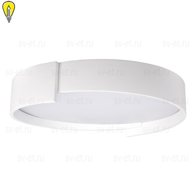 Потолочный светодиодный светильник Loft IT Coin 10200 White