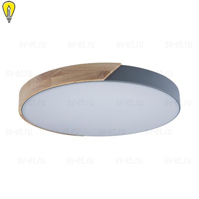 Потолочный светодиодный светильник Loft IT Axel 10004/36 grey