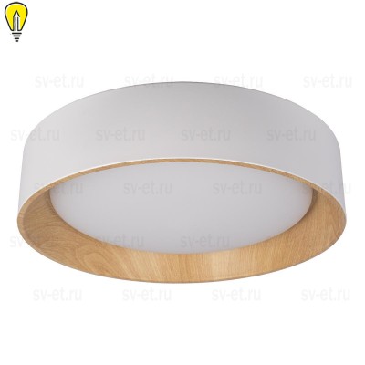 Потолочный светодиодный светильник Loft IT Coin 10202 White