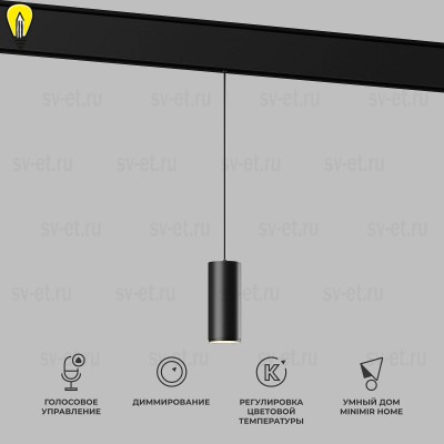 Подвесной трековый светодиодный светильник Elektrostandard Slim Magnetic Dim Amend 85072/01 черный a063533