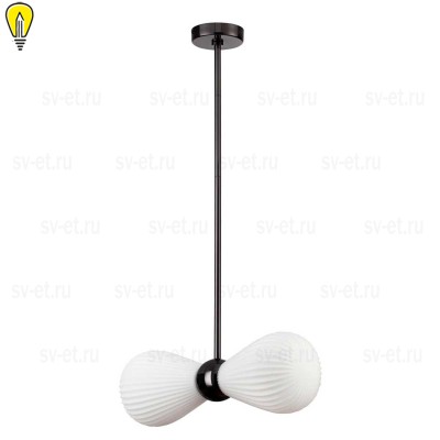 Подвесная люстра Odeon Light Exclusive Elica 5418/2