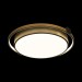Потолочный светодиодный светильник Loft IT Mike 10170