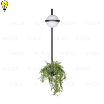 Настенный светильник LOFT IT Jardin 10121W/B