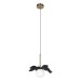 Подвесной светильник Loft IT Monro 10213/A Black