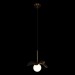 Подвесной светильник Loft IT Monro 10213/A Black