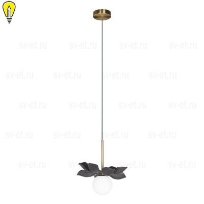 Подвесной светильник Loft IT Monro 10213/B Black