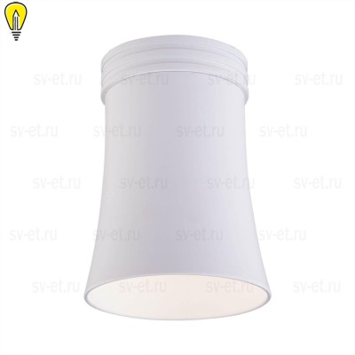 Потолочный светильник Elektrostandard DLN100 GU10 WH белый a043164