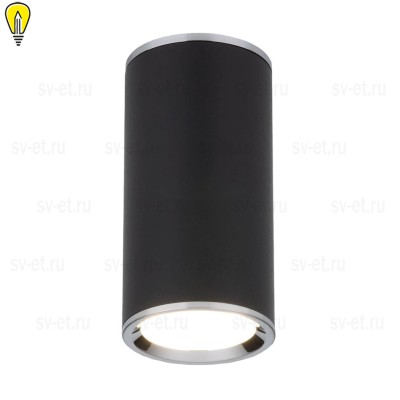Потолочный светильник Elektrostandard DLN101 GU10 BK черный a043971