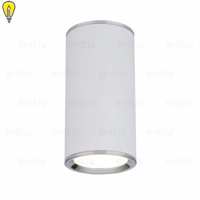 Потолочный светильник Elektrostandard DLN101 GU10 WH белый a043967