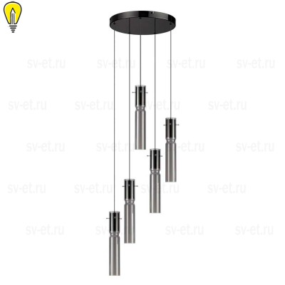 Подвесная люстра Odeon Light SCROW 5058/25L