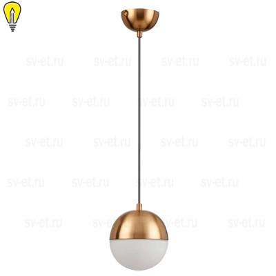 Подвесной светильник Odeon Light Pendant Pinga 4960/1