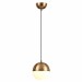 Подвесной светильник Odeon Light Pendant Pinga 4960/1