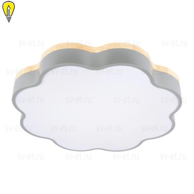 Потолочный светодиодный светильник Loft IT Axel 10225/36 Grey