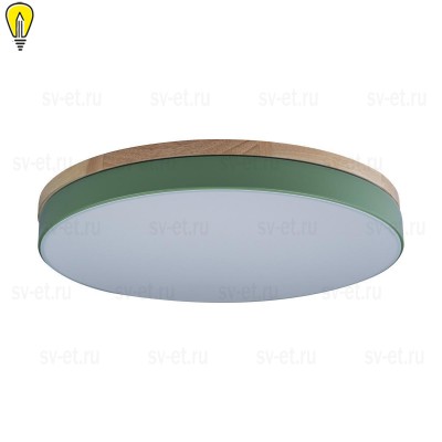 Потолочный светодиодный светильник Loft IT Axel 10001/36 green