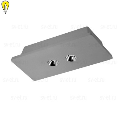 Потолочный светодиодный светильник Loft IT Architect OL1072-GH/2